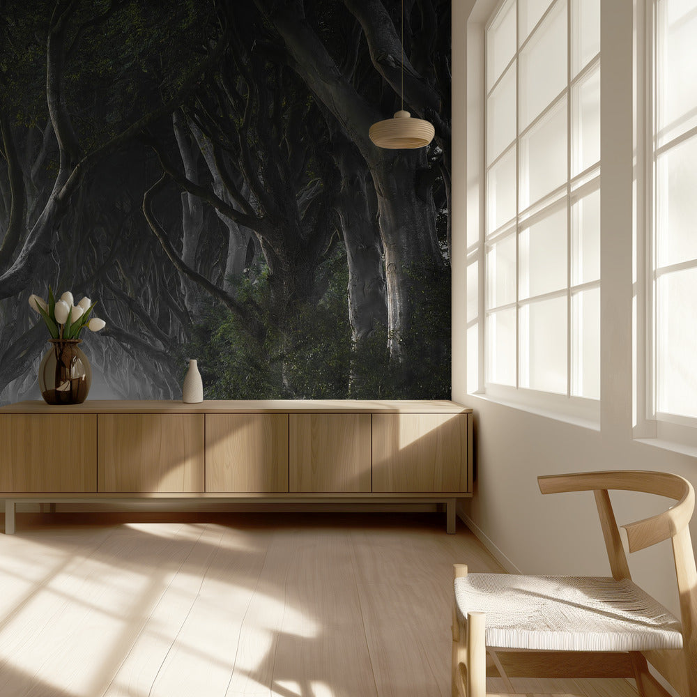 DARK HEDGES | Wallpaper