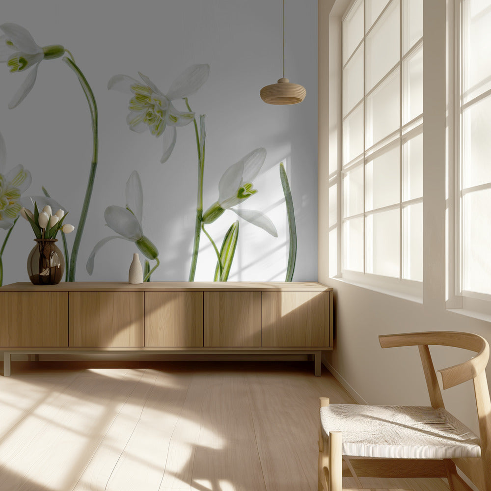 Spring Snowdrops | Wallpaper