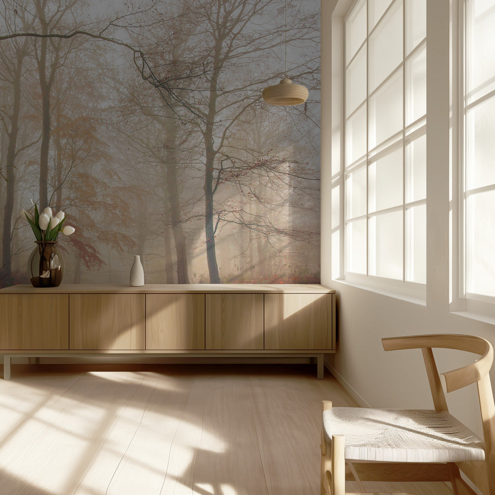 Waiting for the deer. | Wallpaper