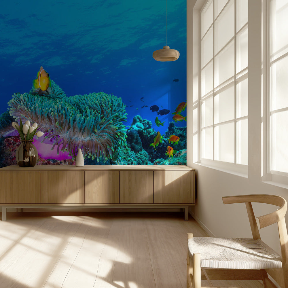 Sea life | Wallpaper