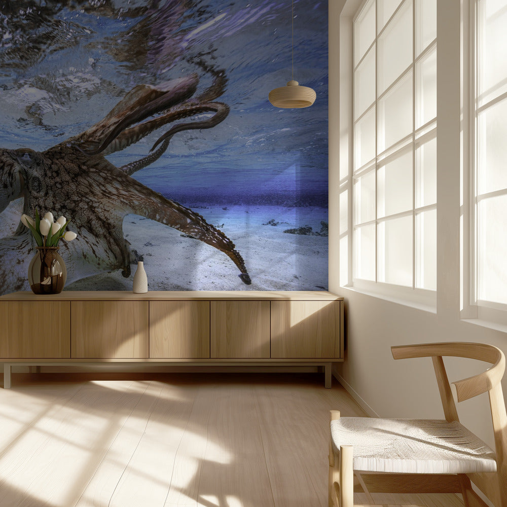 Dancing Octopus | Wallpaper