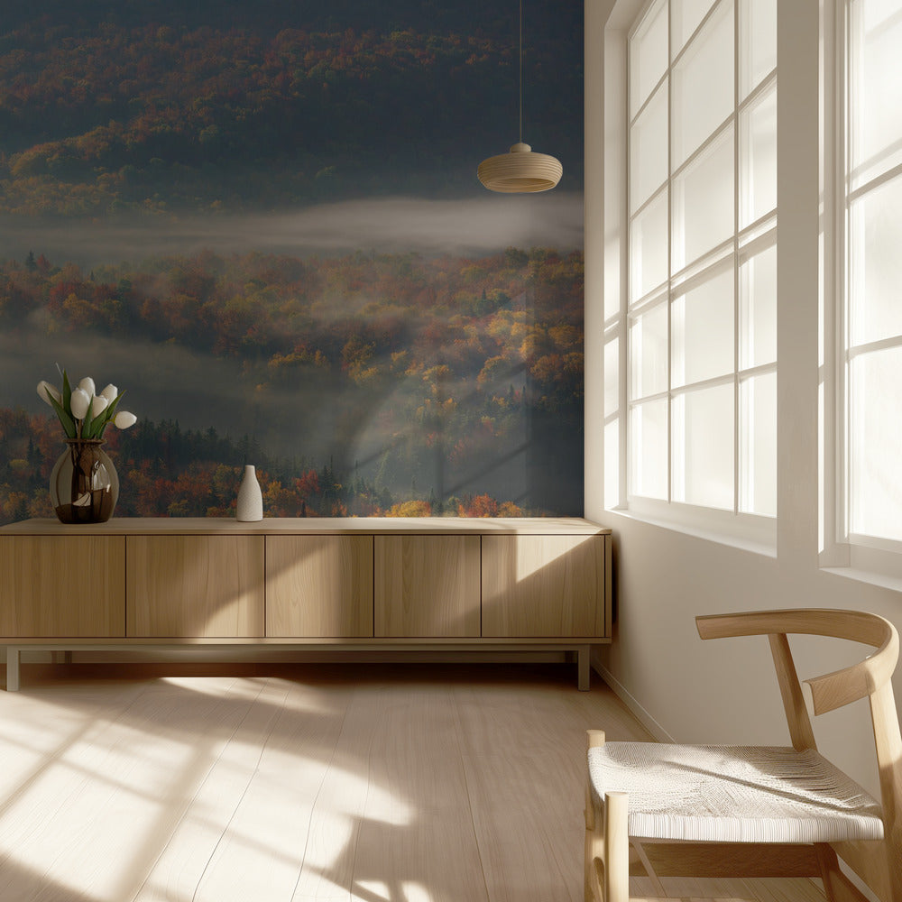 Misty Morning | Wallpaper