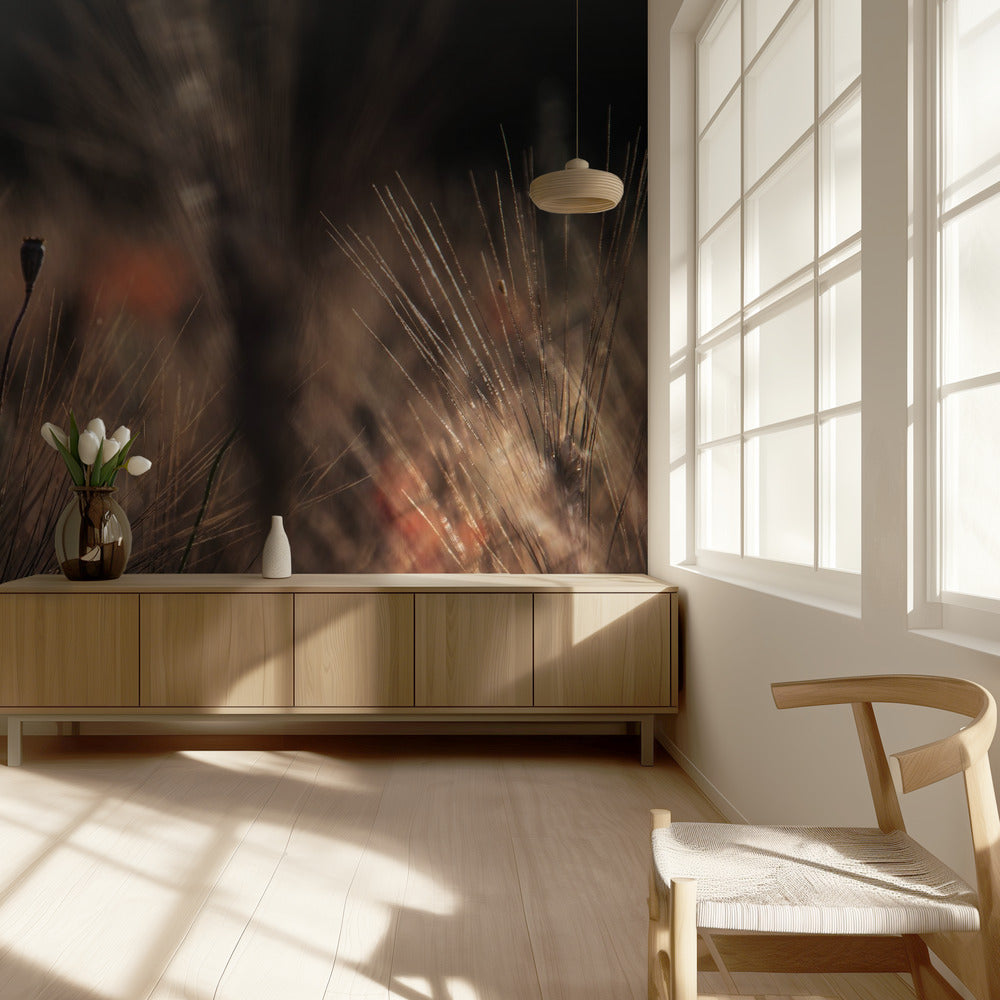 Poppy with corn | Wallpaper