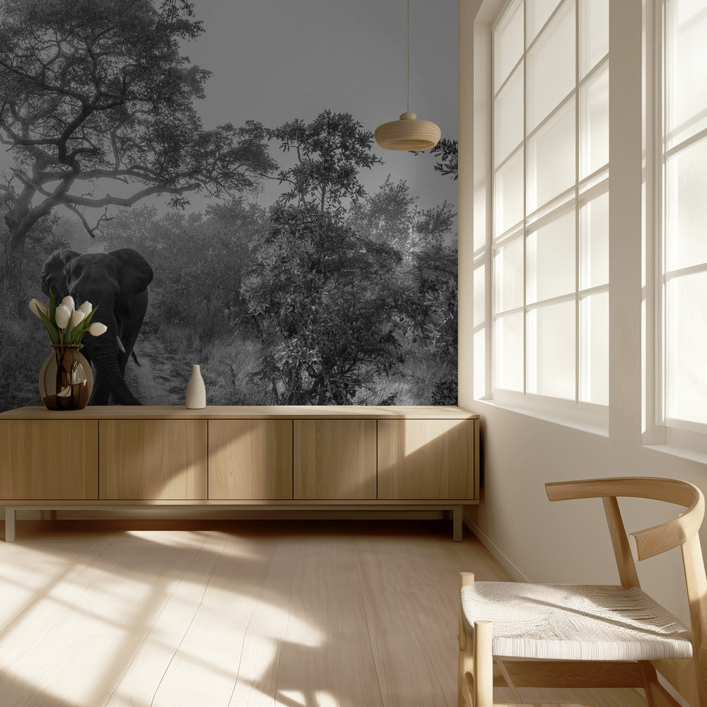 WALKING GIANT | Wallpaper