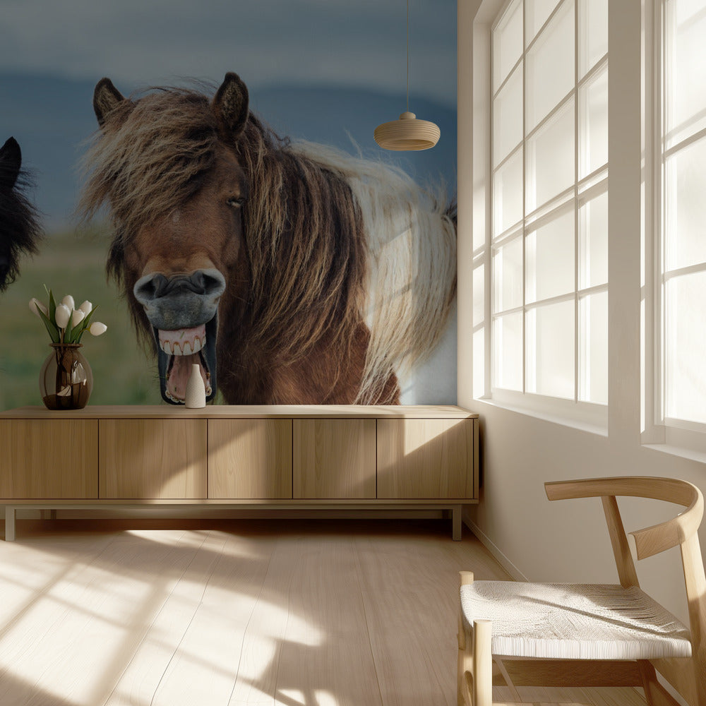 WILD SMILE | Wallpaper