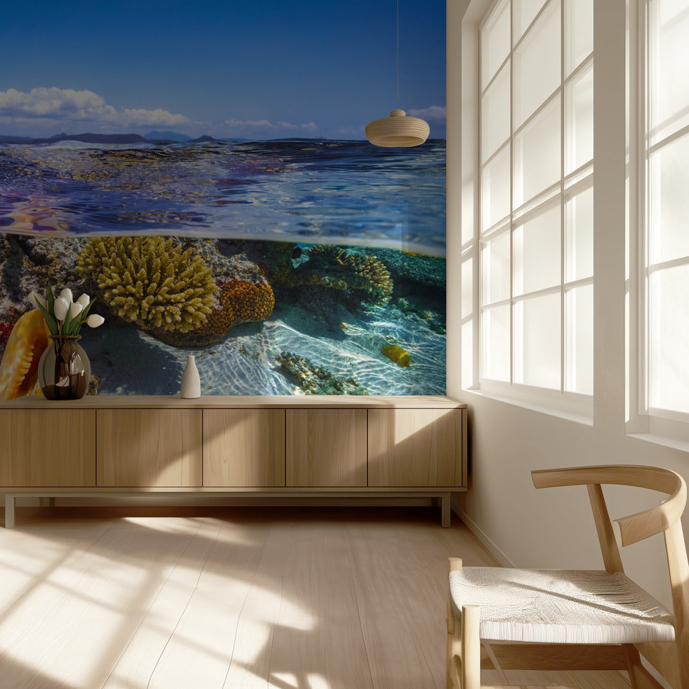 Lagoon life | Wallpaper