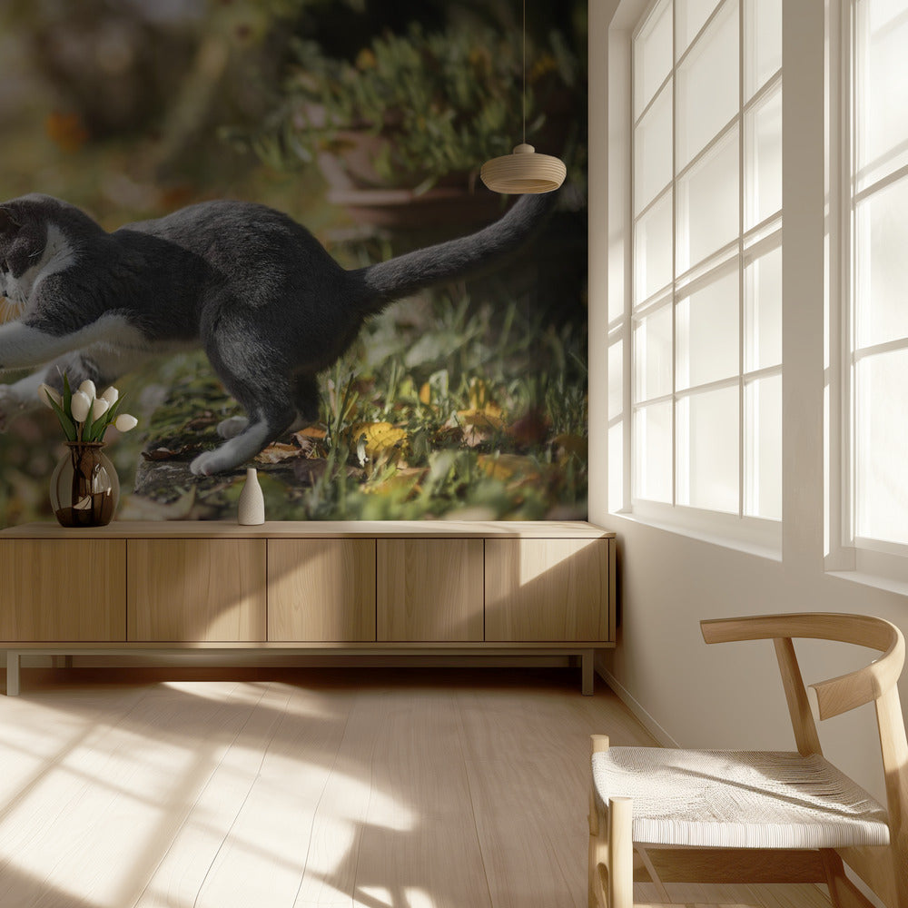 Autumn Play | Wallpaper