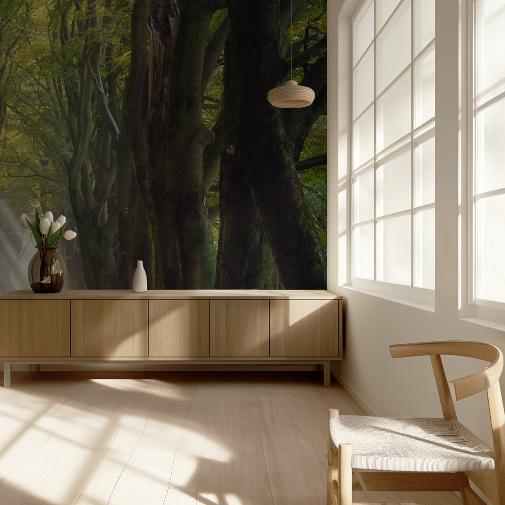 A Glorious Day | Wallpaper