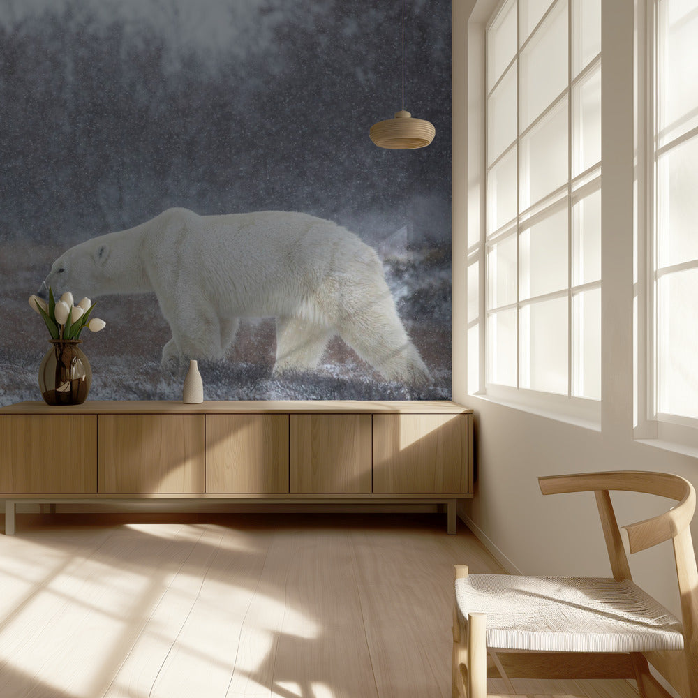 Let it Snow! | Wallpaper