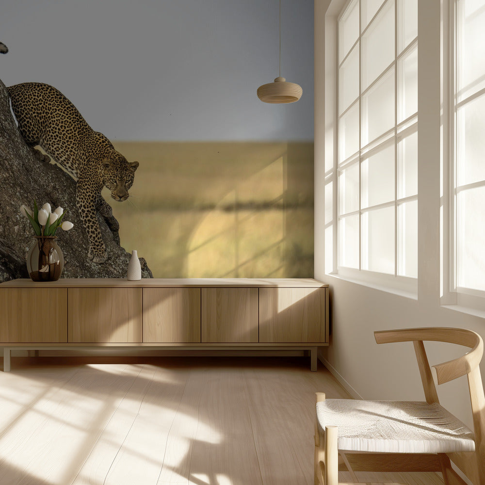 Leopard - Serengheti, Tanzania | Wallpaper