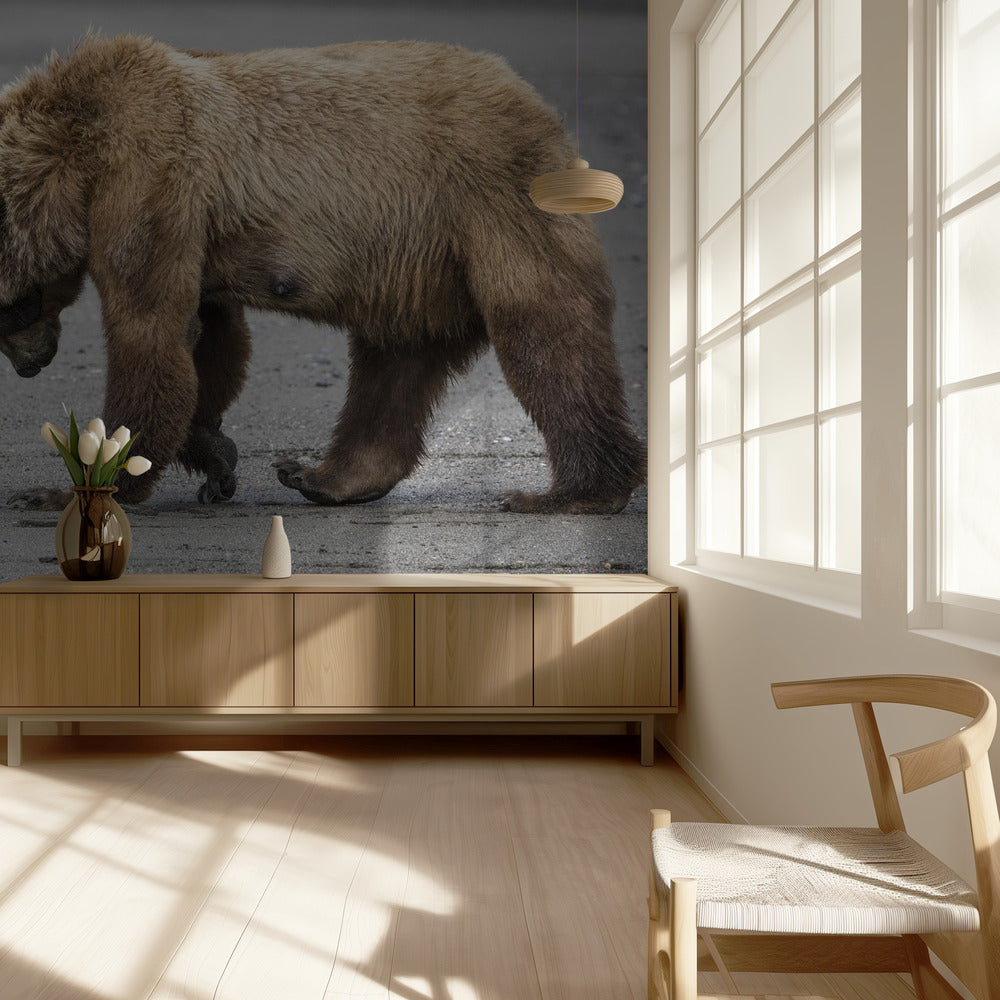 A Little Bear Hug | Wallpaper