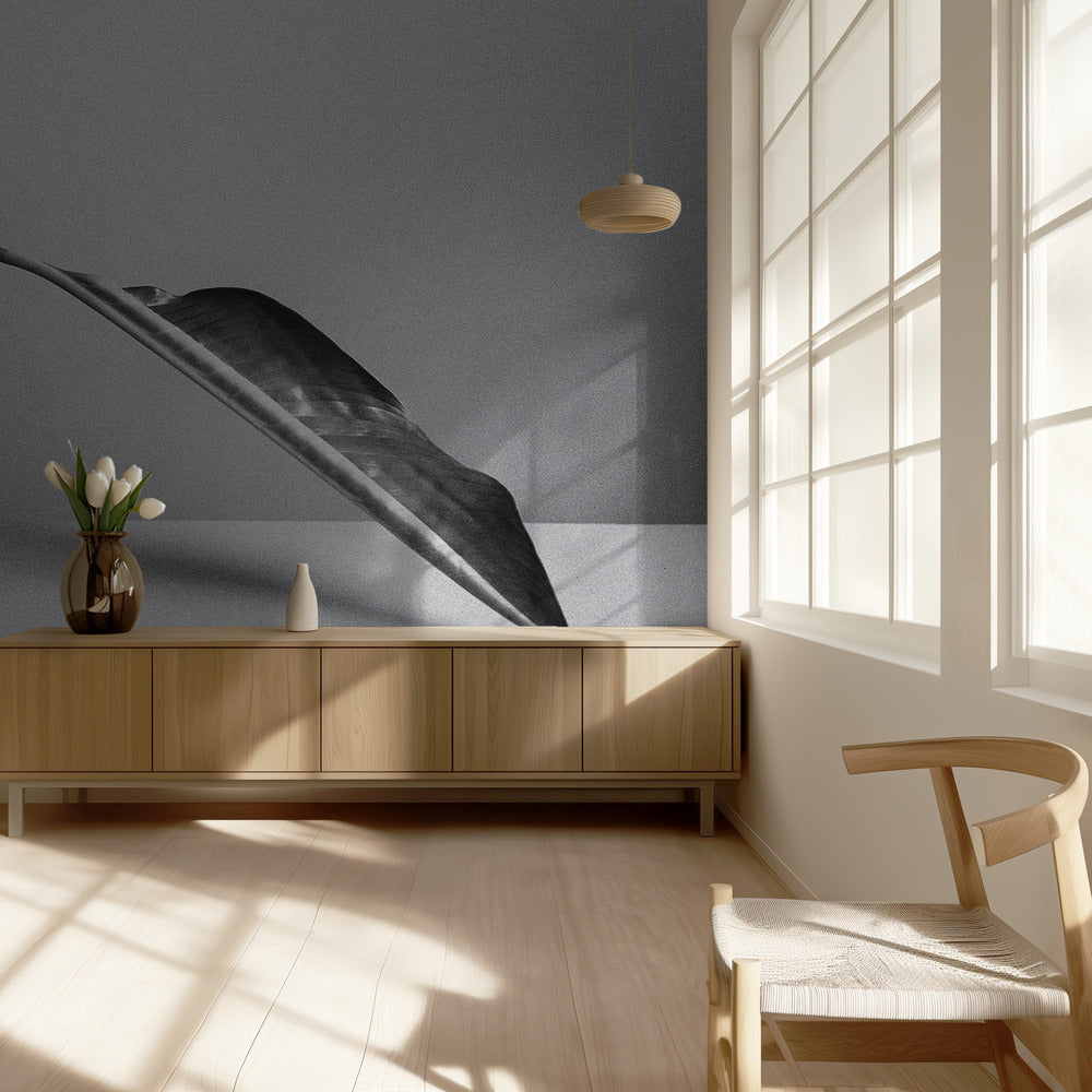 The Leaf | Wallpaper