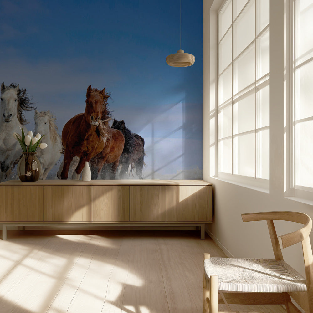 Mongolia Horses | Wallpaper