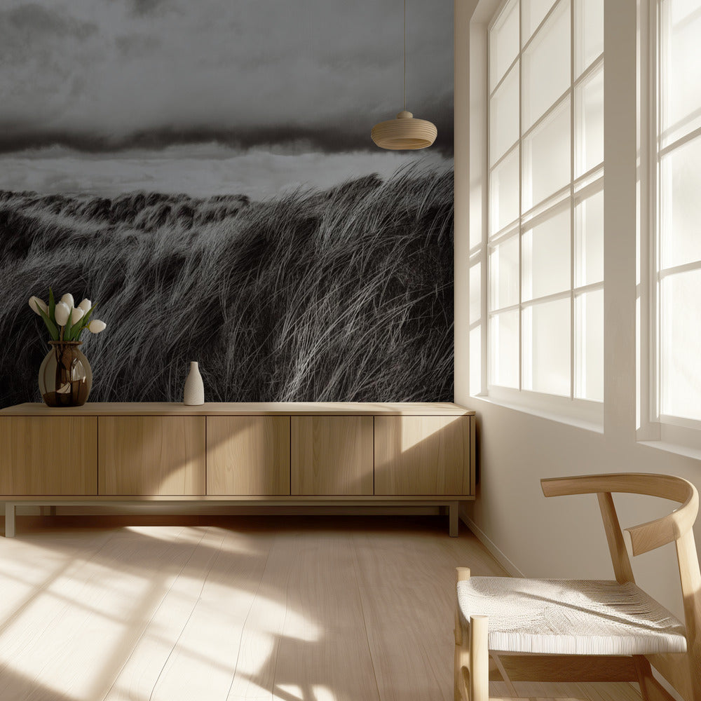 Dunes of grass | Wallpaper