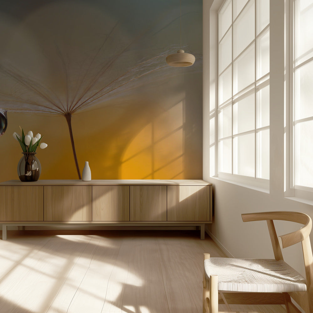 Little Night Music... | Wallpaper