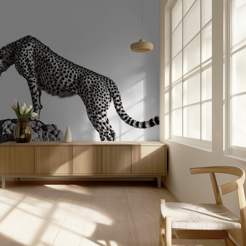 the hunter | Wallpaper