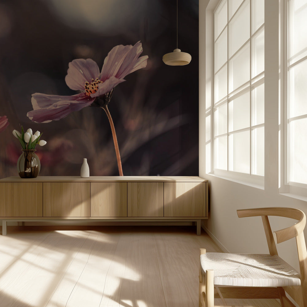 Flowers of innocence | Wallpaper