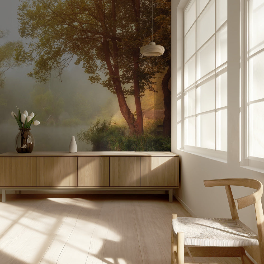 Foggy Autumn | Wallpaper