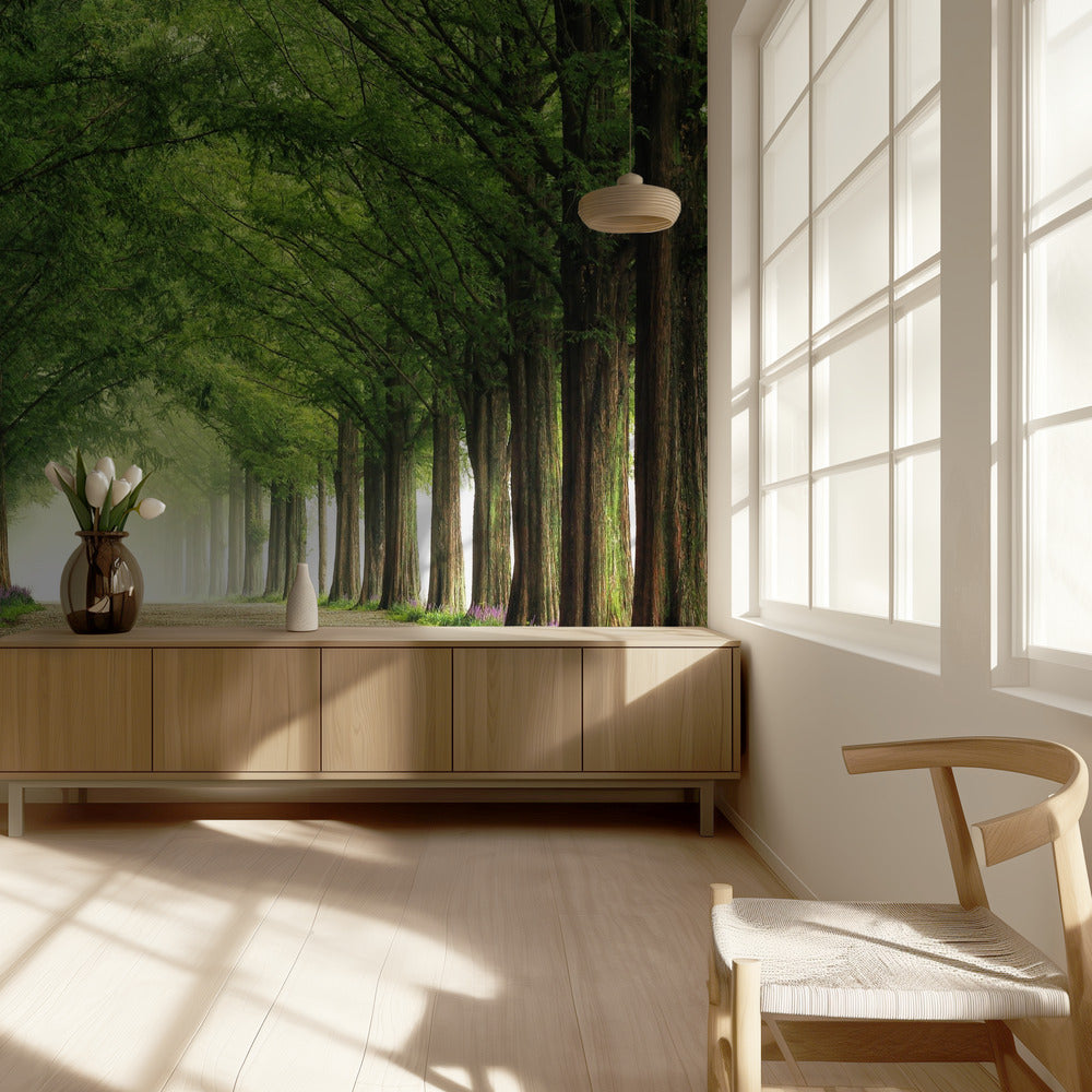 Metasequoia Road | Wallpaper