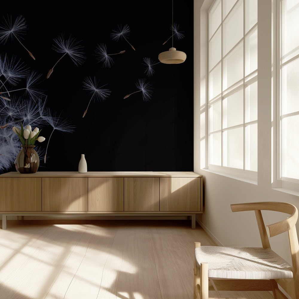 Dandelion Blowing | Wallpaper
