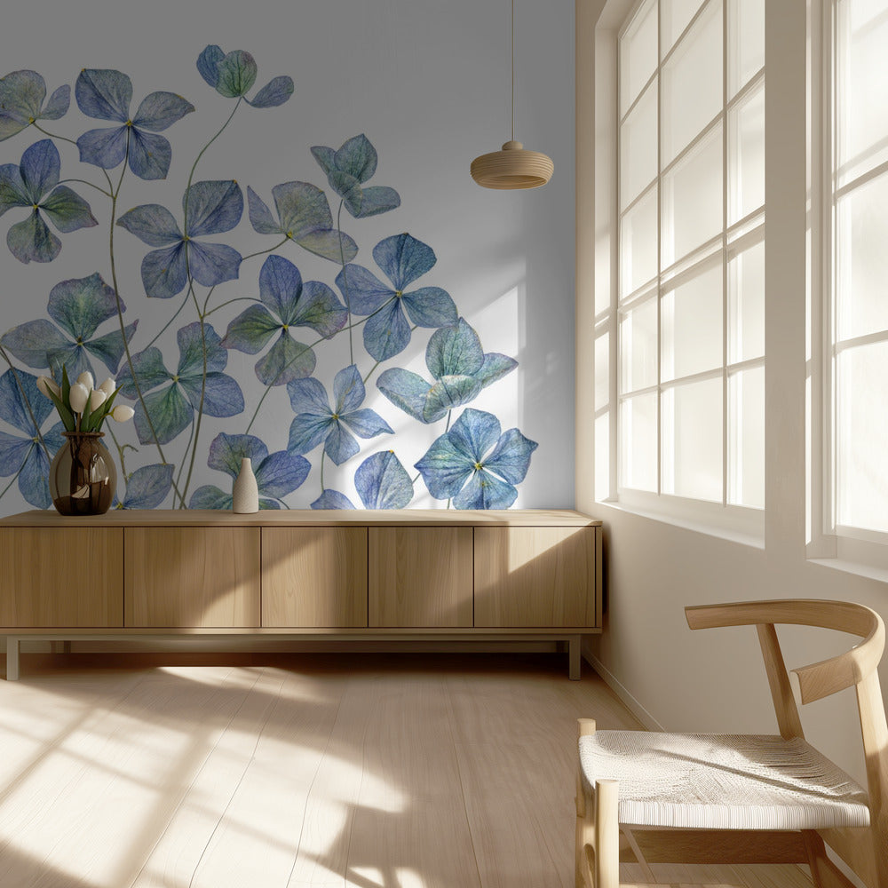 Hydrangea | Wallpaper