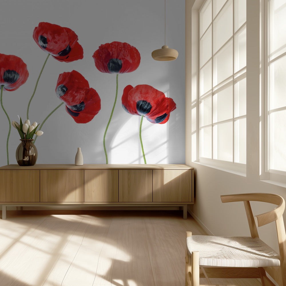 Ladybird Poppies | Wallpaper