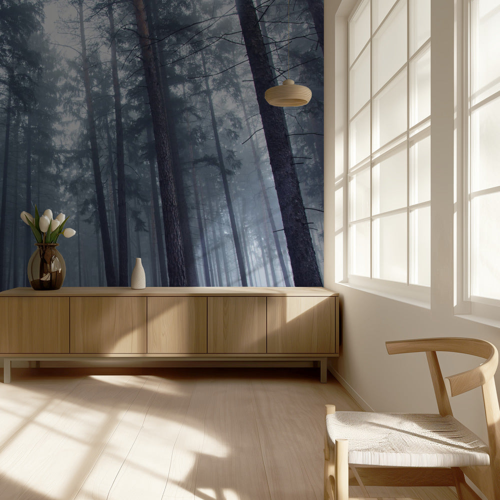 Mysterious foggy forest. | Wallpaper