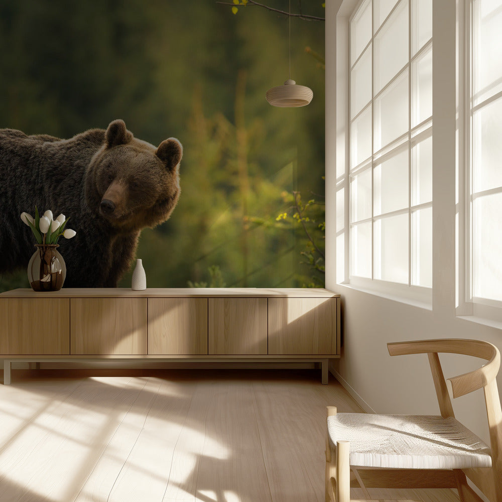 Backlit bear | Wallpaper