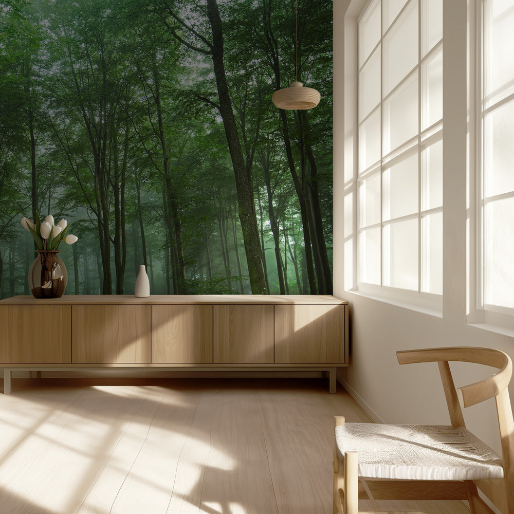 Forest View | Wallpaper