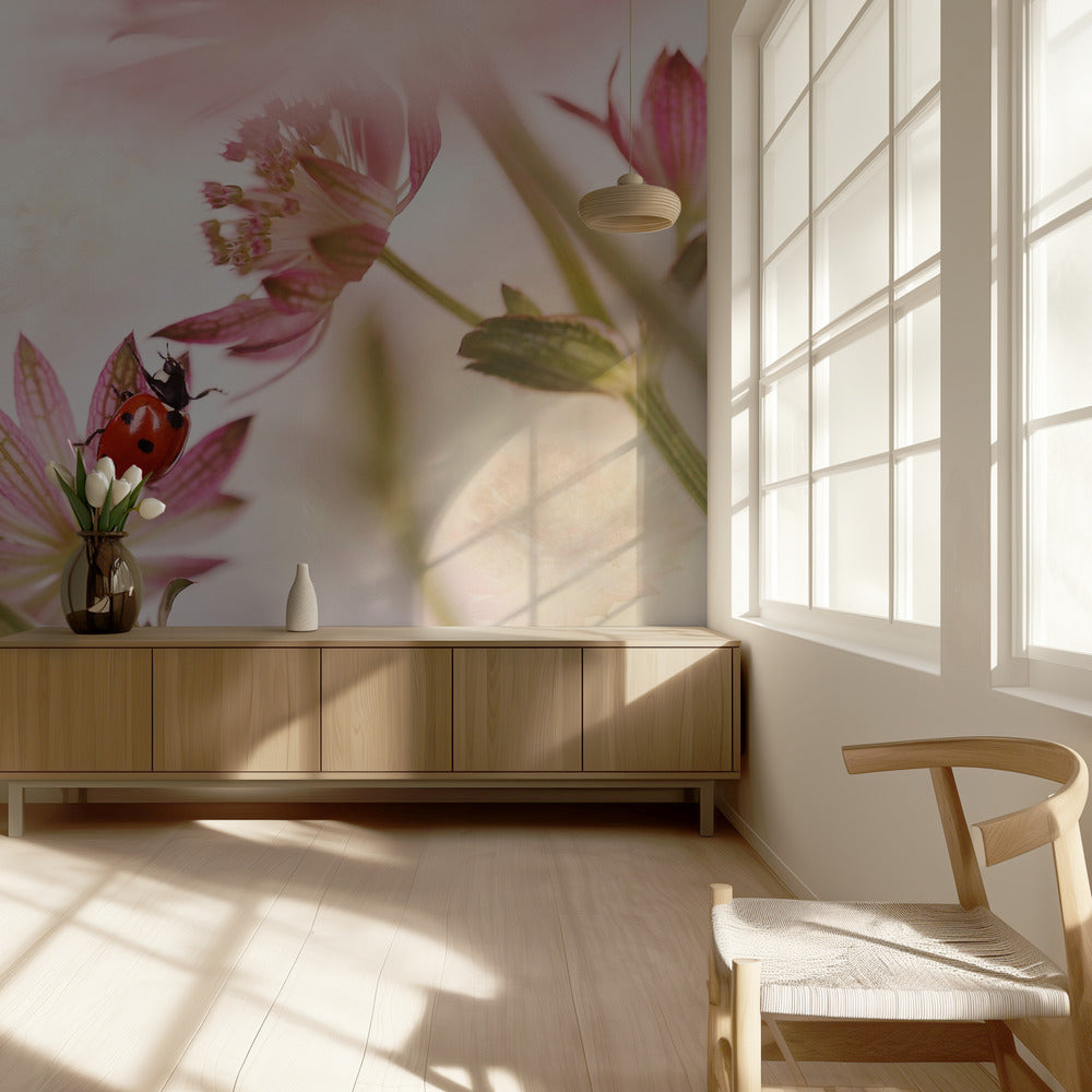 Ladybird and pink flowers | Wallpaper