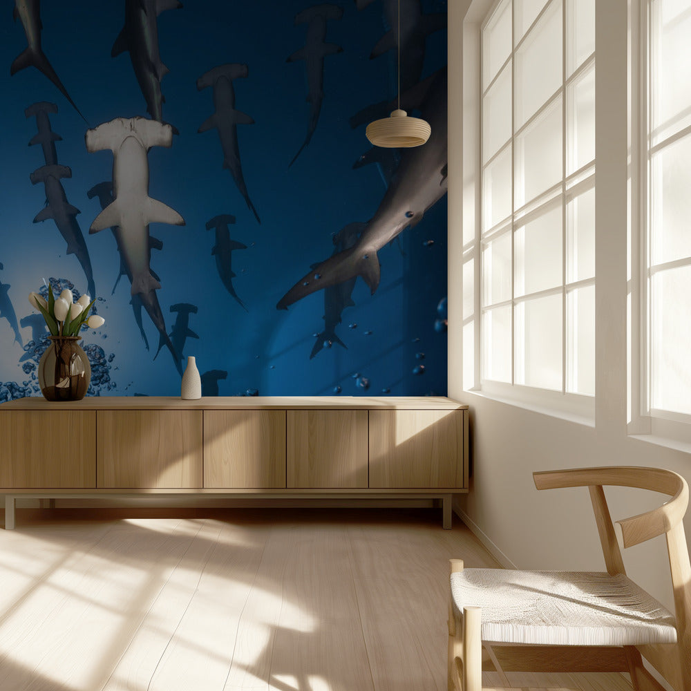 Hammerhead Shark | Wallpaper