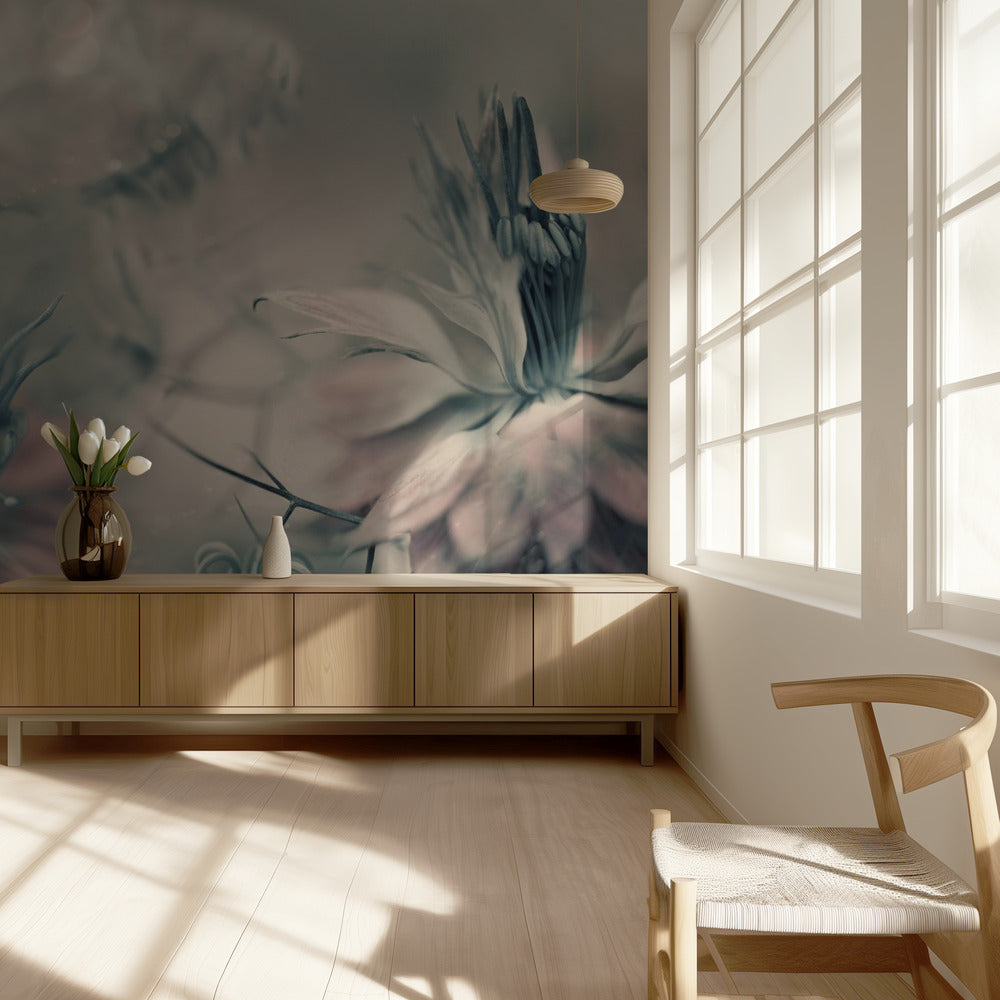 The virgins ll | Wallpaper