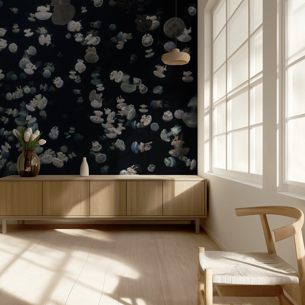 Just some Jellies | Wallpaper