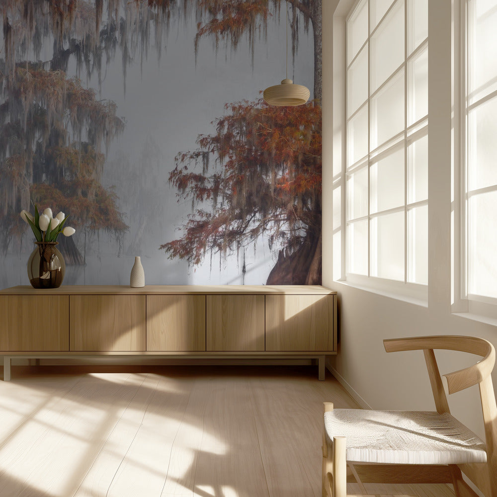 Mysty Bayou | Wallpaper