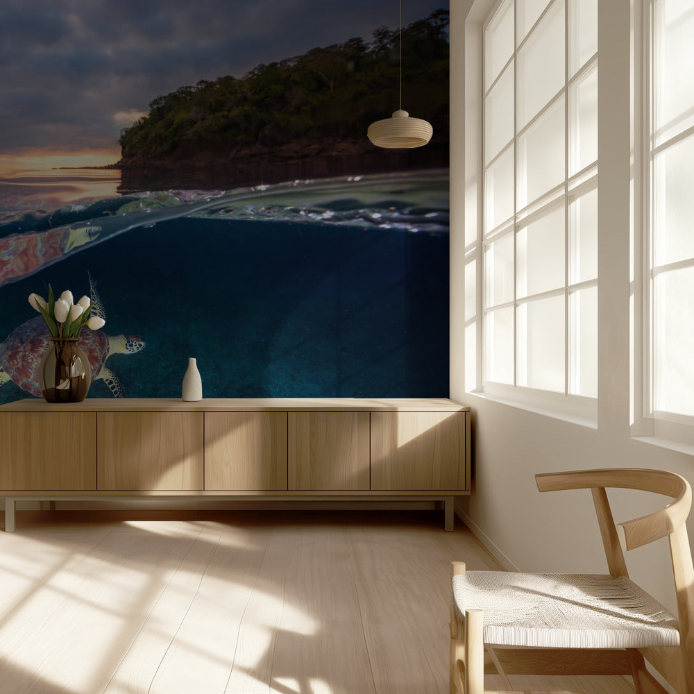 Green turtle with sunset | Wallpaper