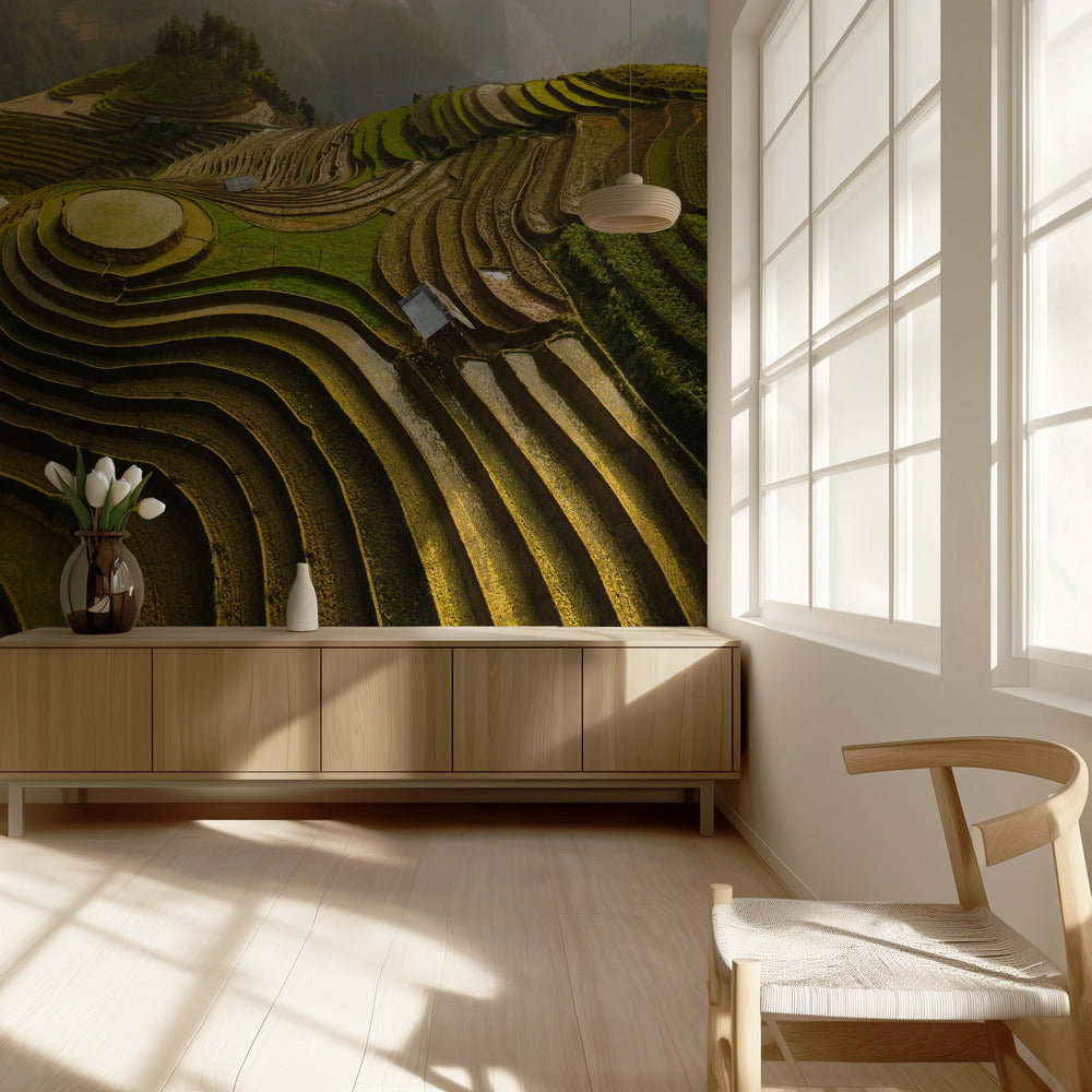 mu cang chai - vietnam | Wallpaper