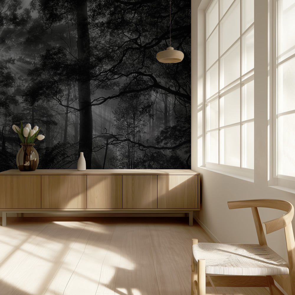 Primary forest | Wallpaper