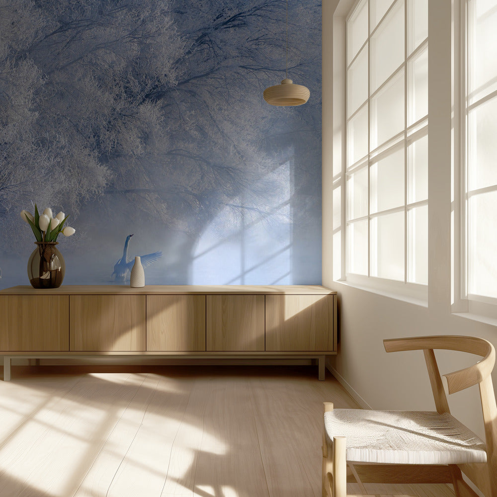 Swan Lake | Wallpaper