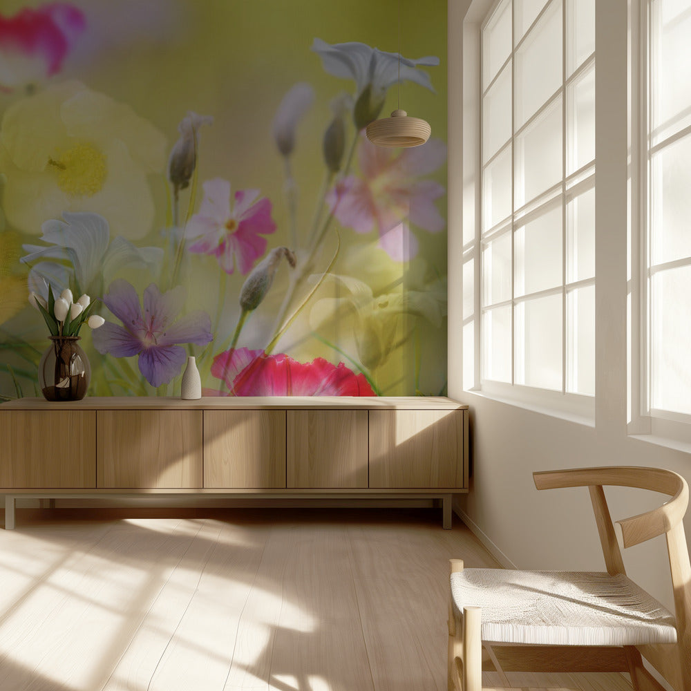 Tiny garden in a summer field | Wallpaper