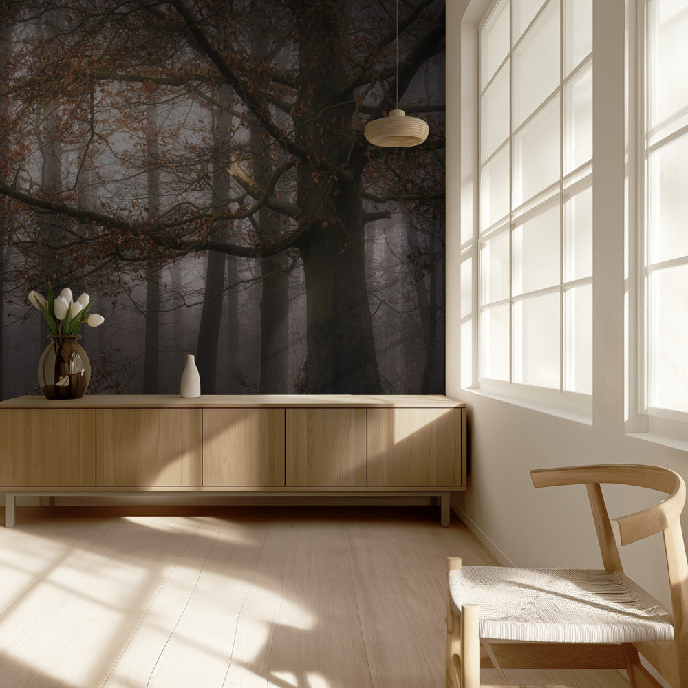 Foggy memory  of the past | Wallpaper