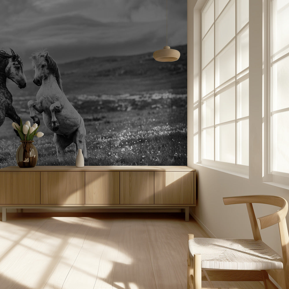 Wild and free | Wallpaper