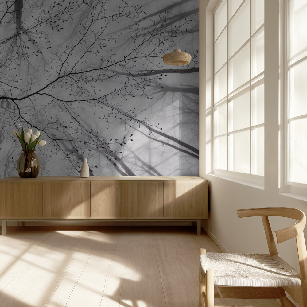 A view of the tree crown | Wallpaper