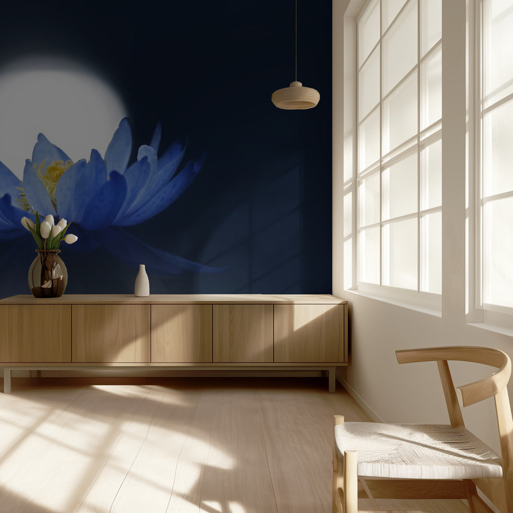 Fleeting dream | Wallpaper