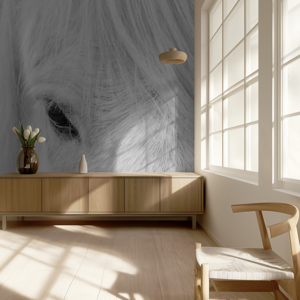 Whisper of Iceland | Wallpaper