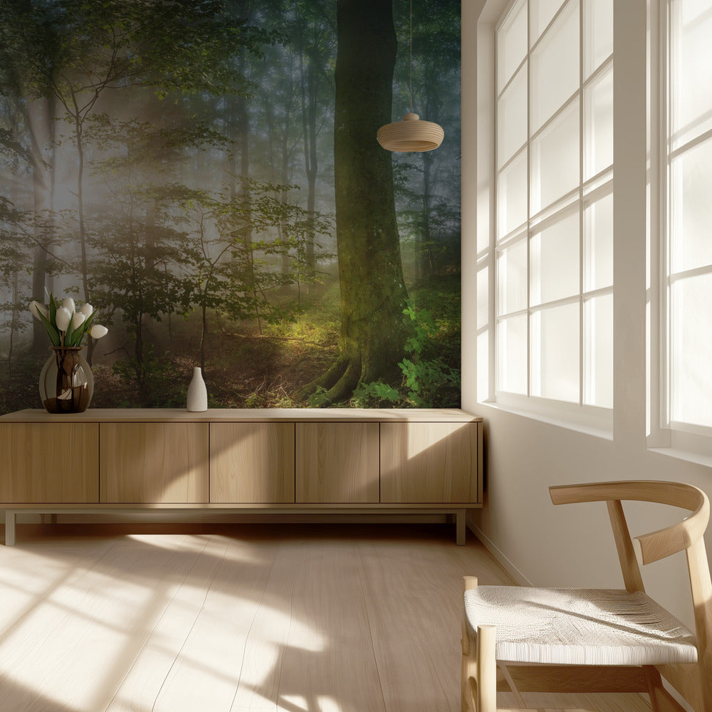 morning sun | Wallpaper