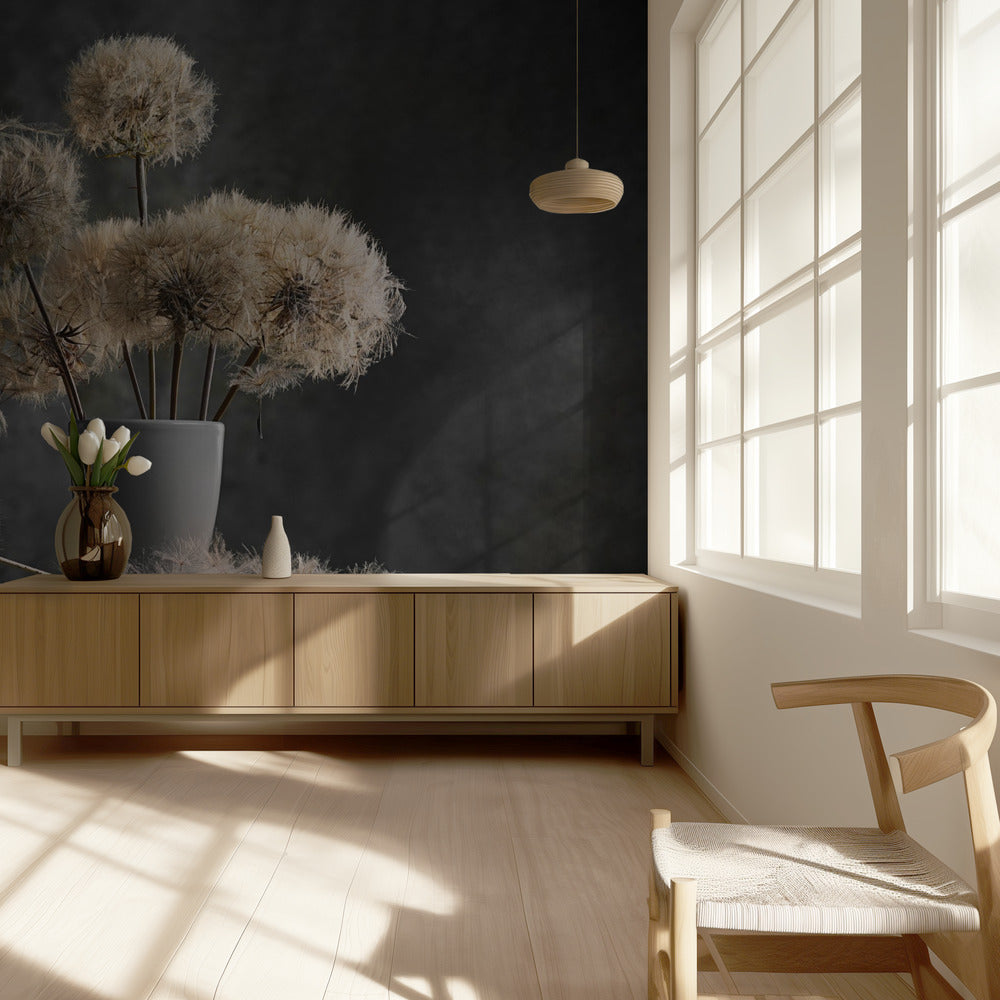 Dandelion Seed Pod | Wallpaper