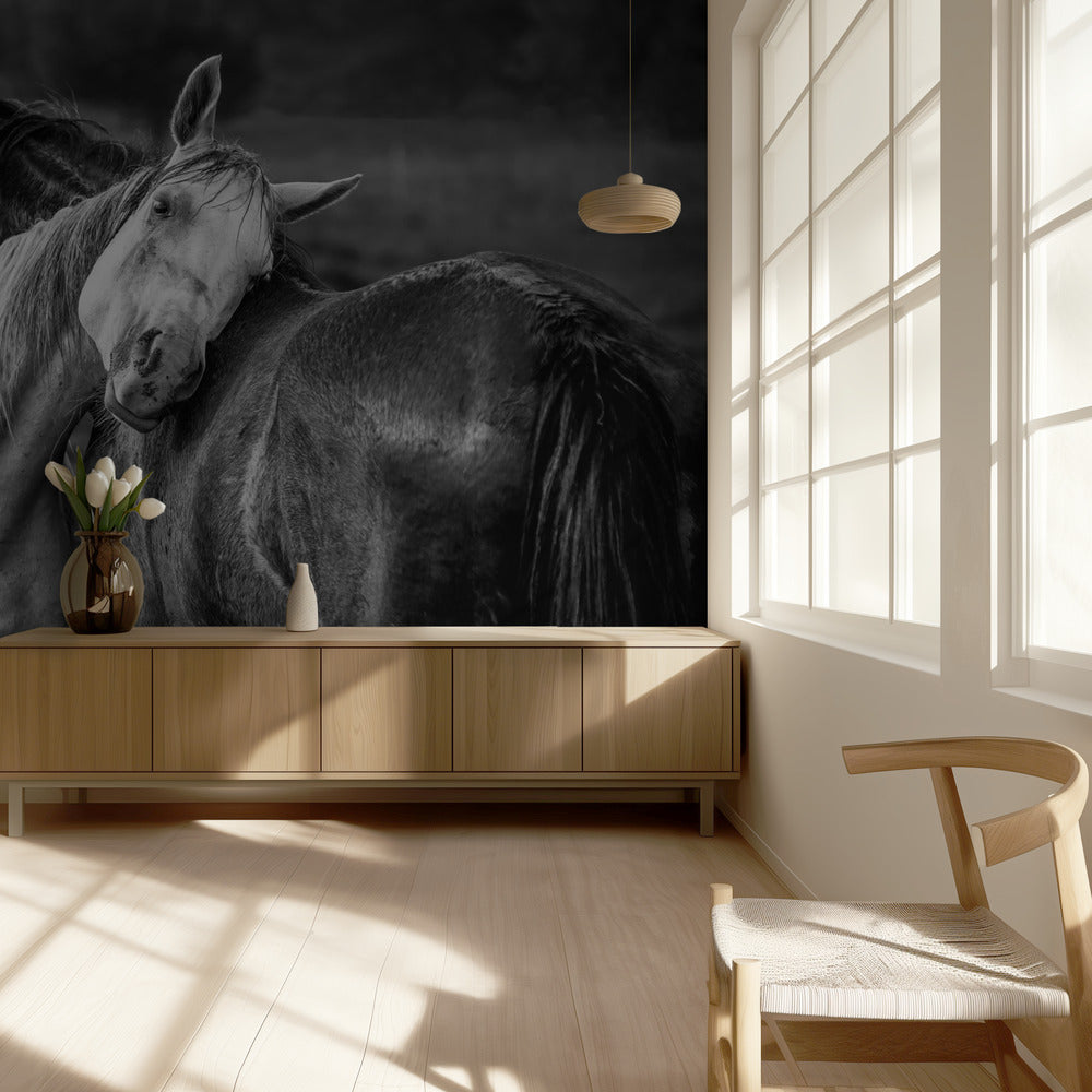 Warm rain | Wallpaper