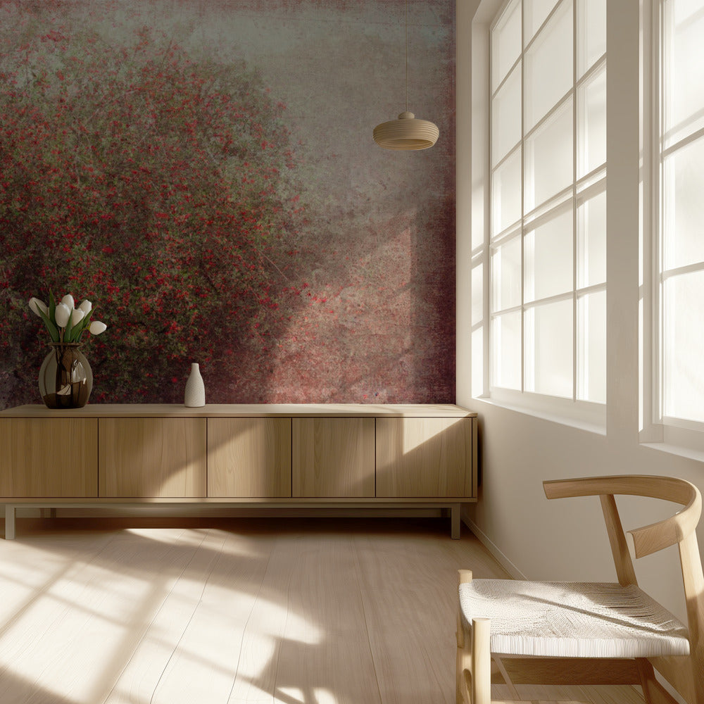 Apple tree | Wallpaper