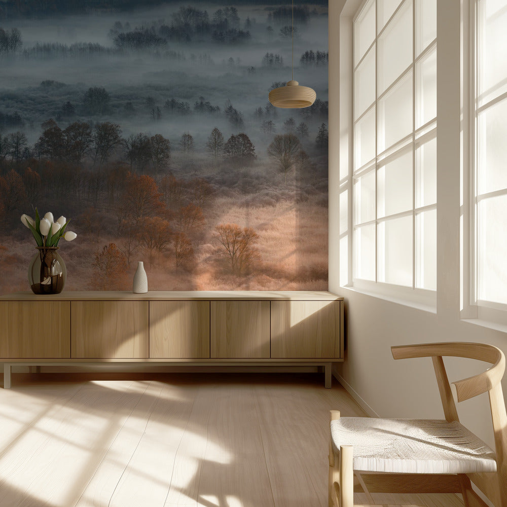 Autumnal misty dawn | Wallpaper