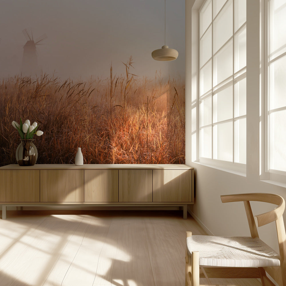 Morning mist | Wallpaper